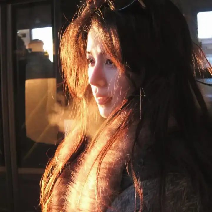 进击的巨人外传：无悔的选择